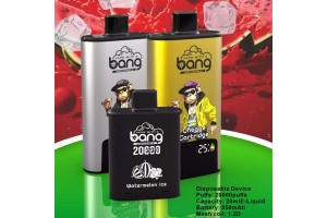 Bang Cartridge 20000