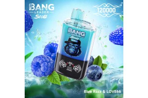 Bang Leader Stoll 120000 Dual Flavor 120K Puffs Disposable Vapes Bulk Buy Smart Screen Display Wholesale