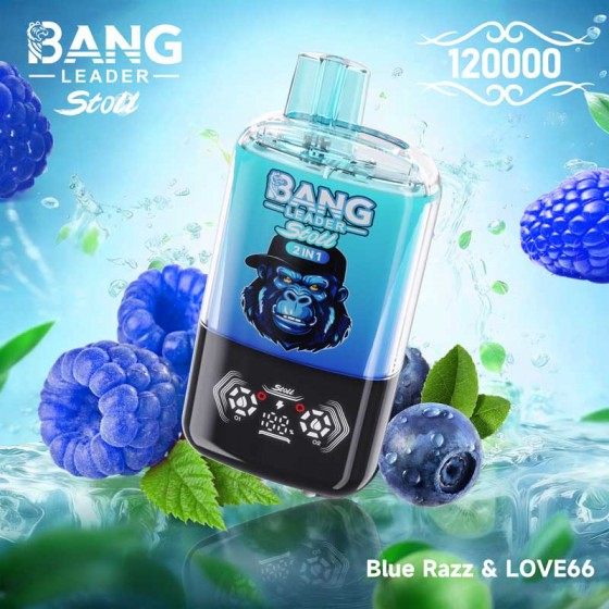 Bang Leader Stoll 120000 Dual Flavor 120K Puffs Disposable Vapes Bulk Buy Smart Screen Display Wholesale