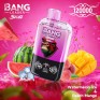 Bang Leader Stoll 120000 Dual Flavor 120K Puffs Disposable Vapes Bulk Buy Smart Screen Display Wholesale