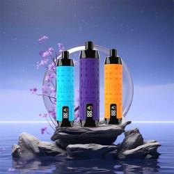 Elf Box Shisha Hookah 16000