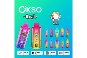 OKSO 120K 6-in-1 120000 Puffs 6 Flavor Disposable Vape Wholesale