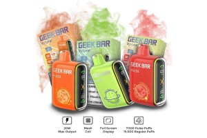 GEEK BAR PULSE 15000